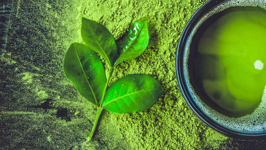 Matcha (mačia) arbata - Kas tai ir kuo ji skiriasi nuo žalios arbatos?